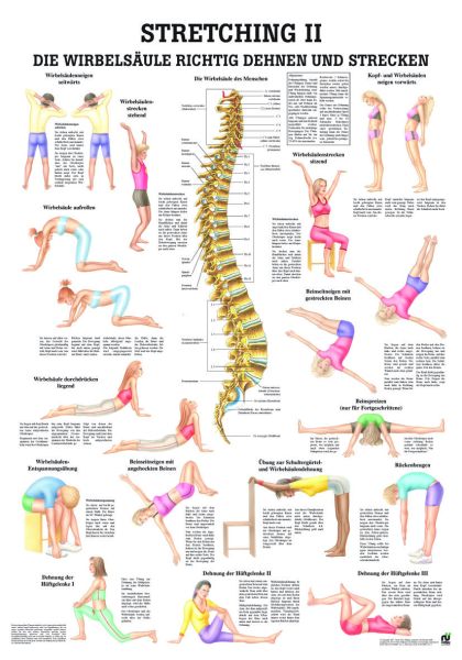 «Stretching II», laminiert 